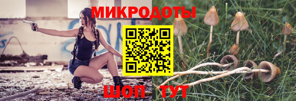 Малгобек  Псилоцибиновые грибы Psilocybe  Вход с VPN 